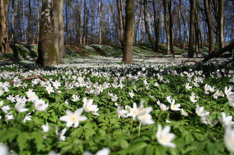 endlich Frühling!!!