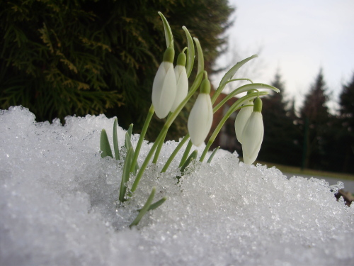 Endlich Frühling !!!