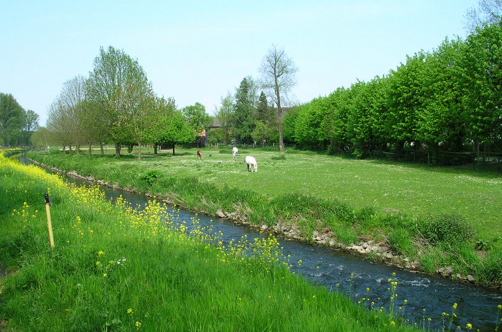 Endlich Frühling