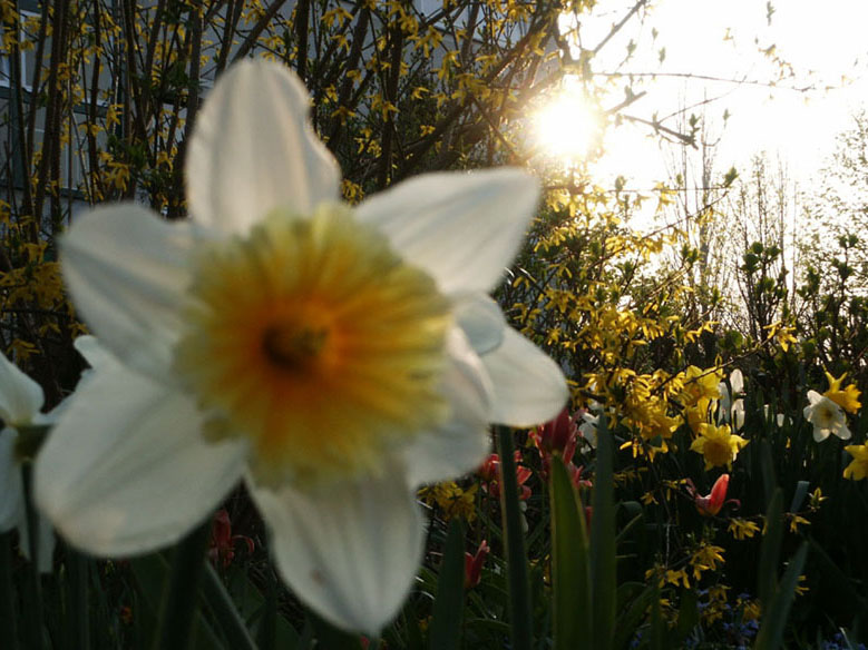 Endlich Frühling!