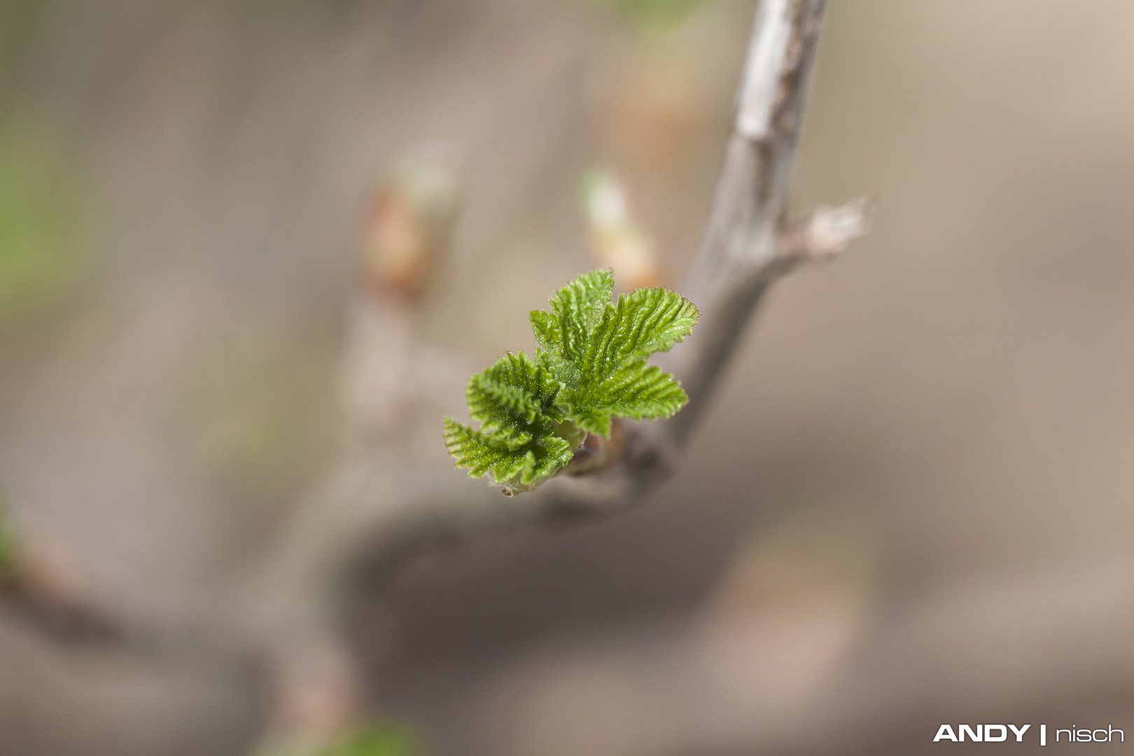 Endlich Frühling!