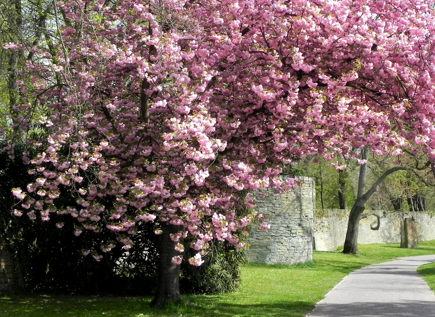 endlich Frühling!