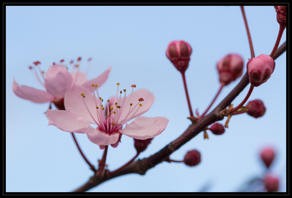 Endlich Frühling