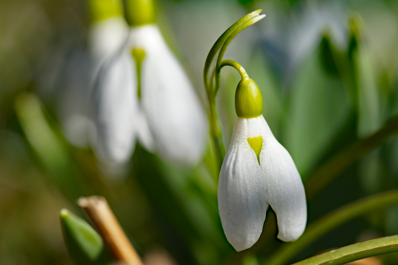 Endlich Frühling