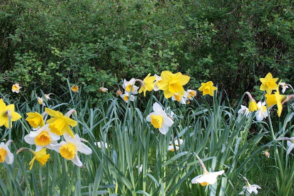 endlich Frühling!!!