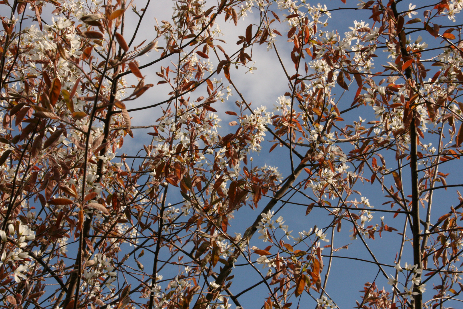 Endlich Frühling