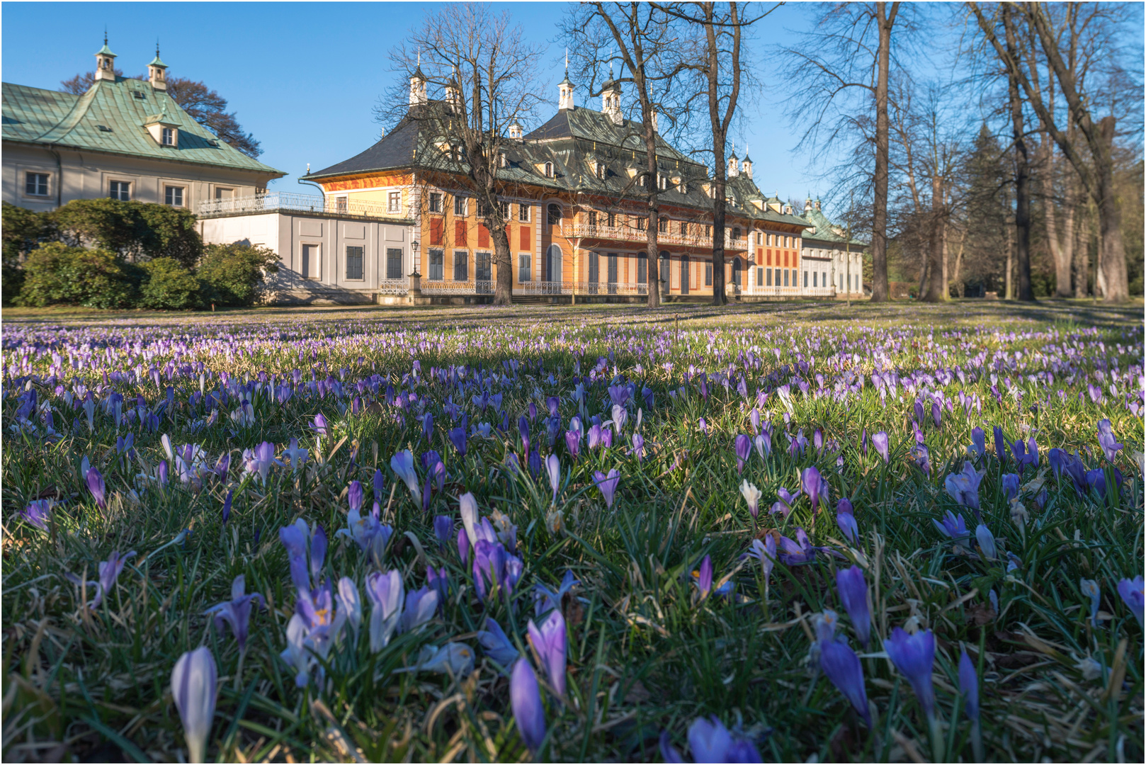 Endlich Frühling!