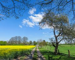 Endlich Frühling