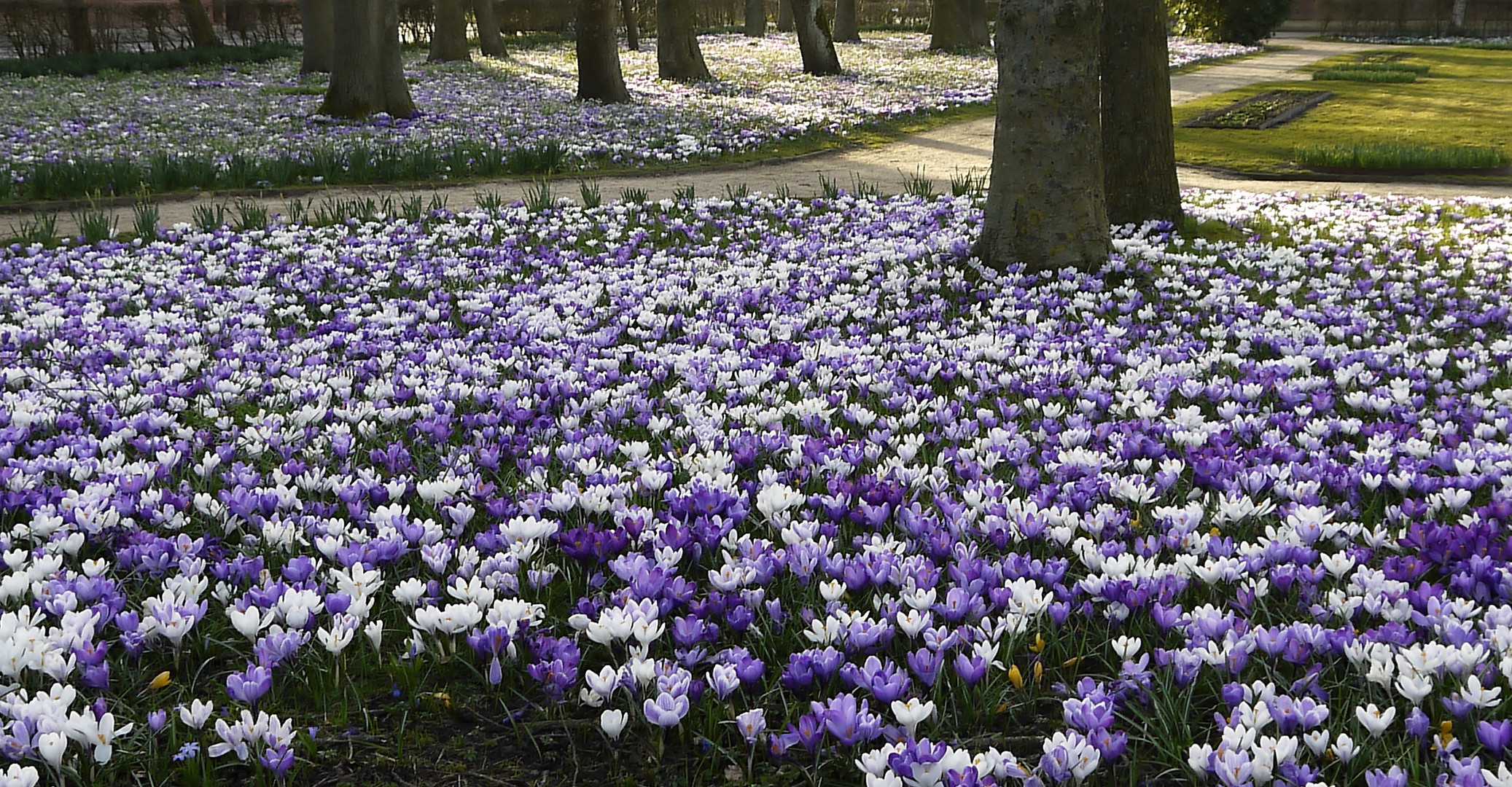 Endlich Frühling...