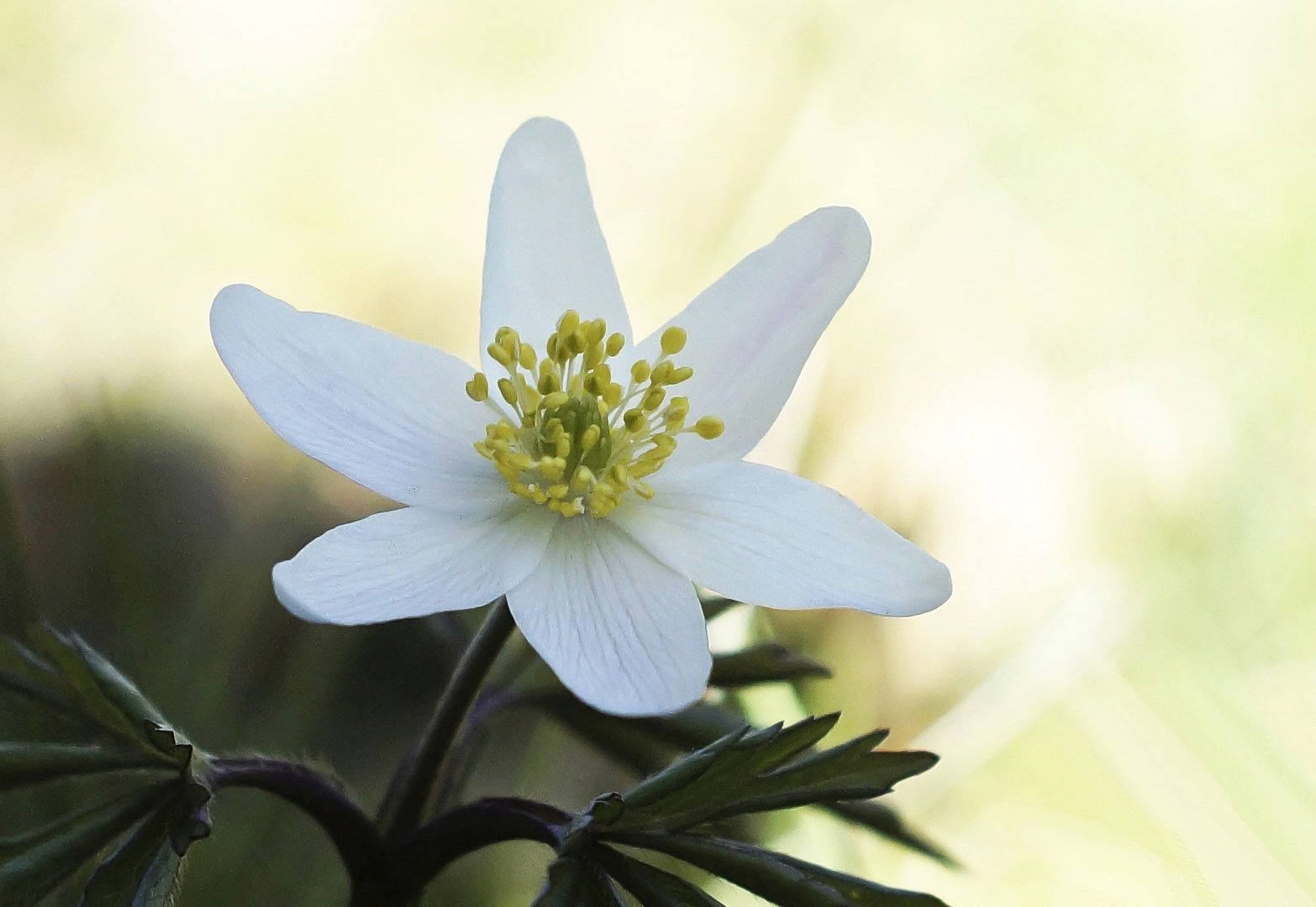 Endlich Frühling