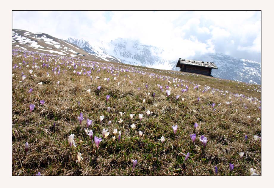 endlich Frühling