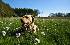 endlich Frühling