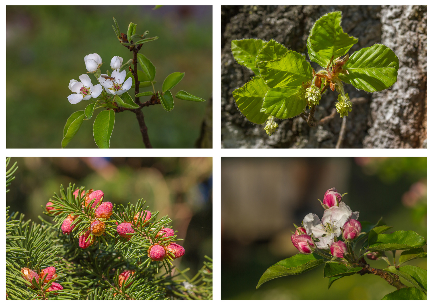 Endlich Frühling