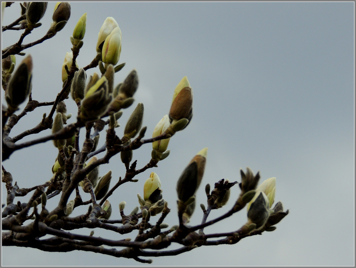 endlich Frühling