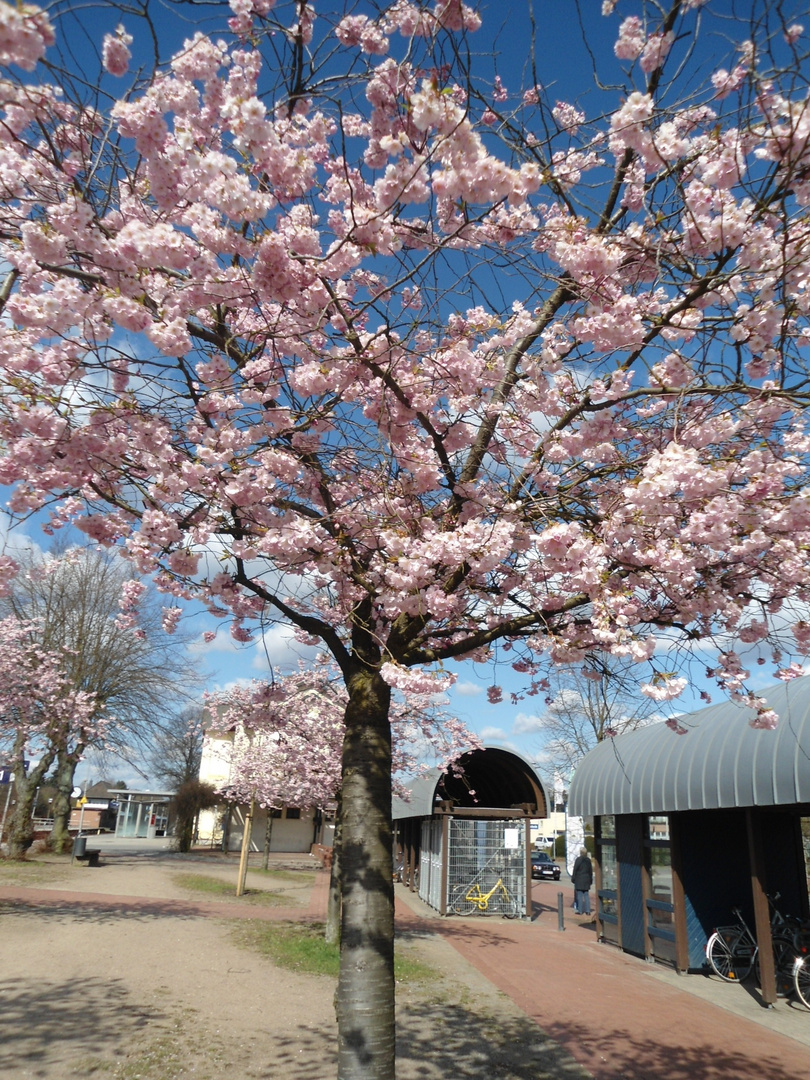 Endlich Frühling