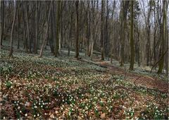 Endlich Frühling