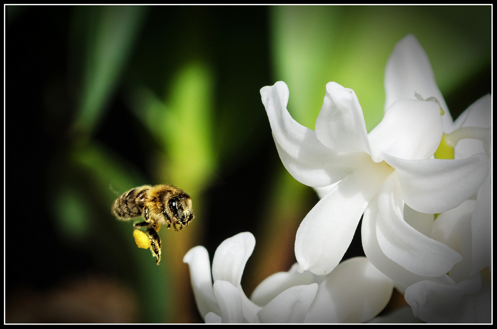 Endlich Frühling: Attacke!