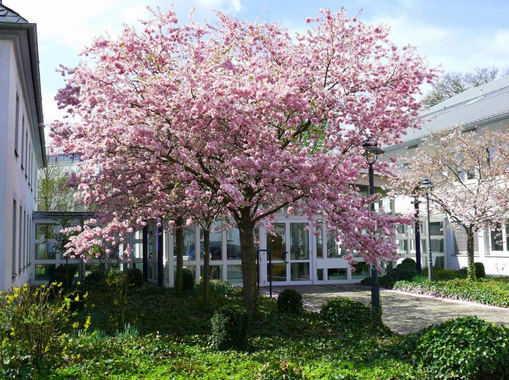 Endlich Frühling