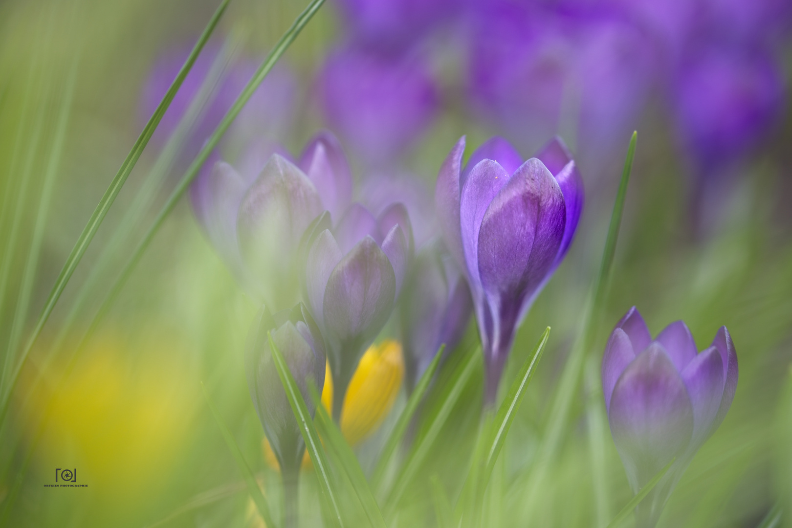 Endlich Frühling