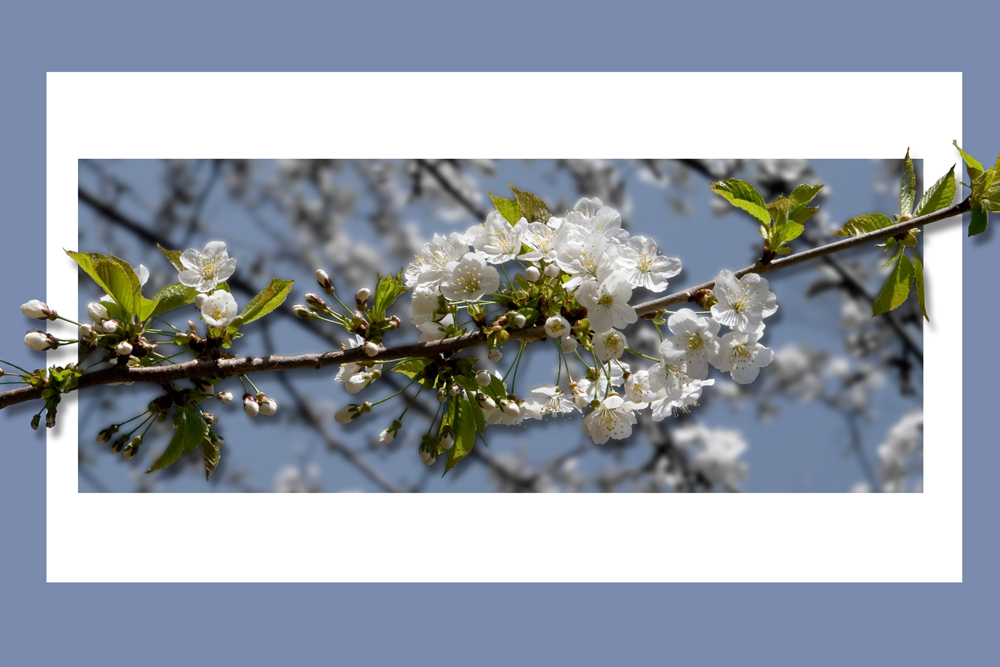 Endlich Frühling.....