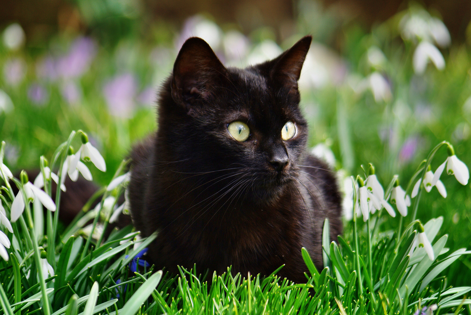 Endlich Frühling!