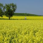 Endlich Frühling