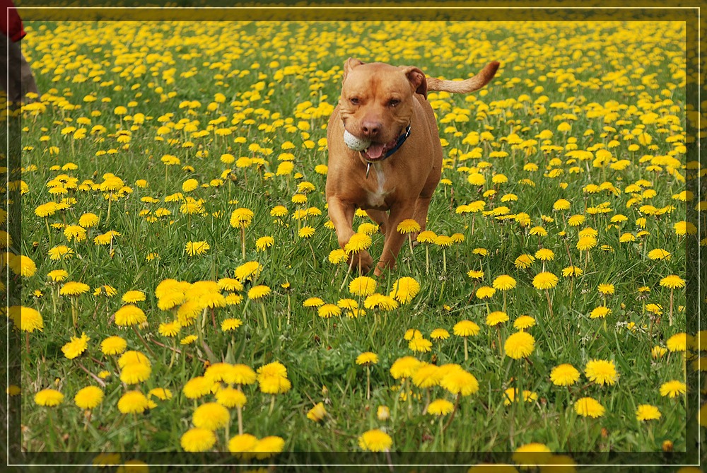 Endlich Frühling