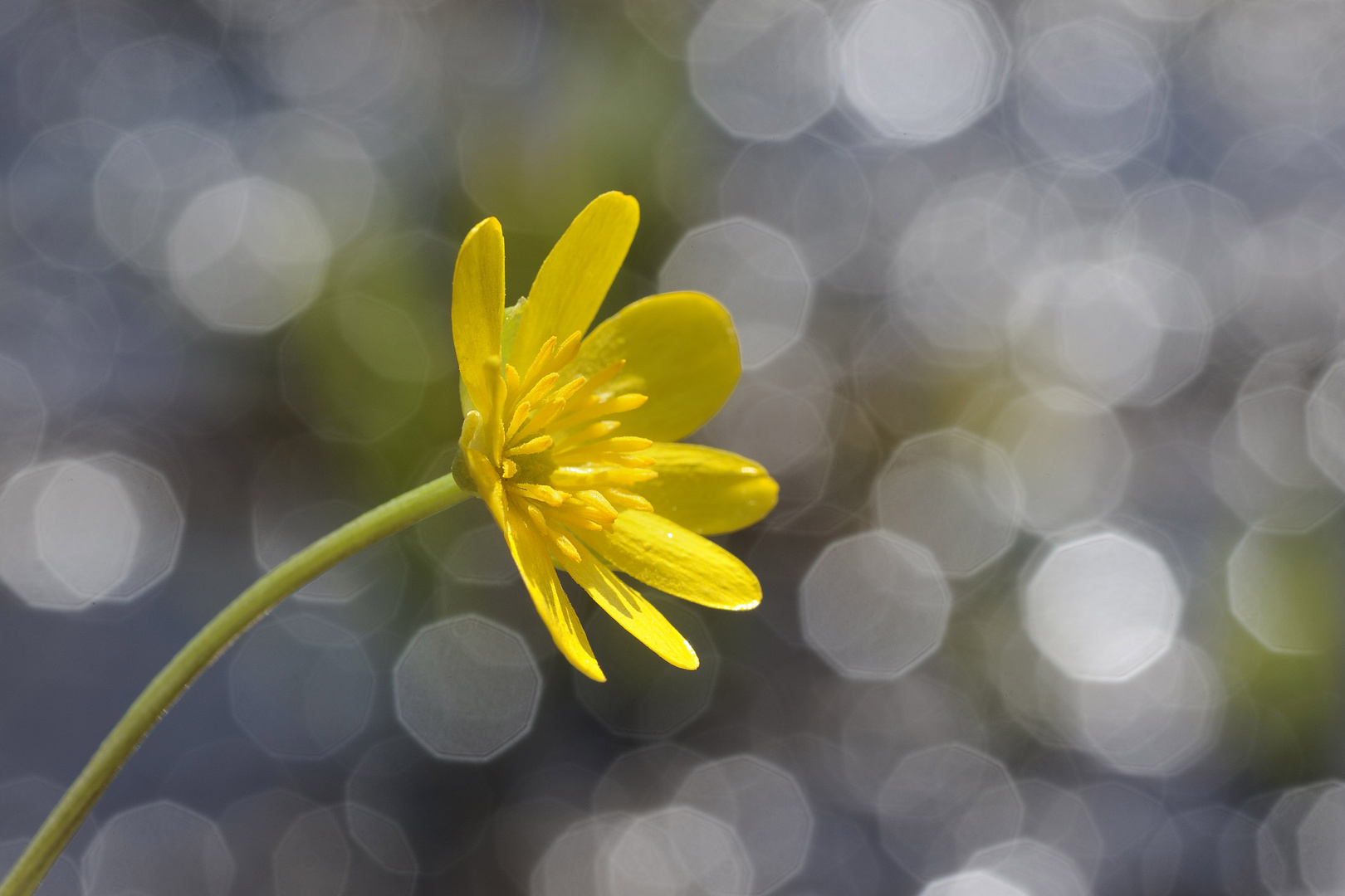 Endlich Frühling