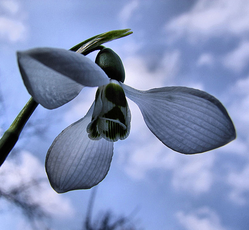 Endlich Frühling!