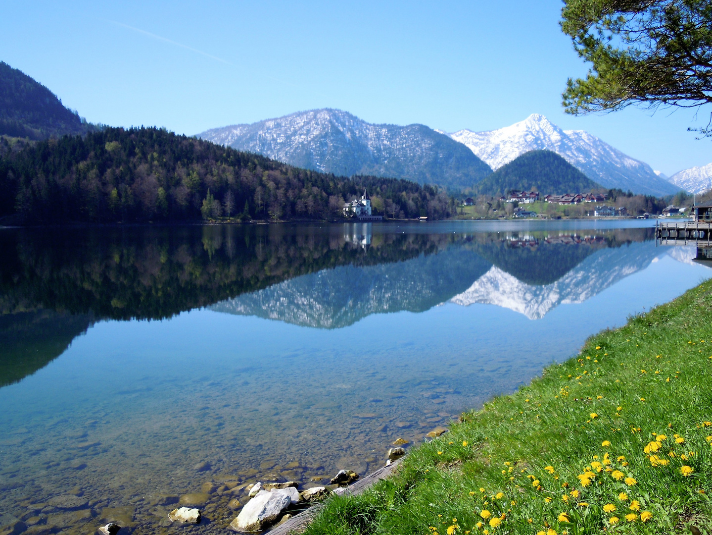 Endlich Frühling !