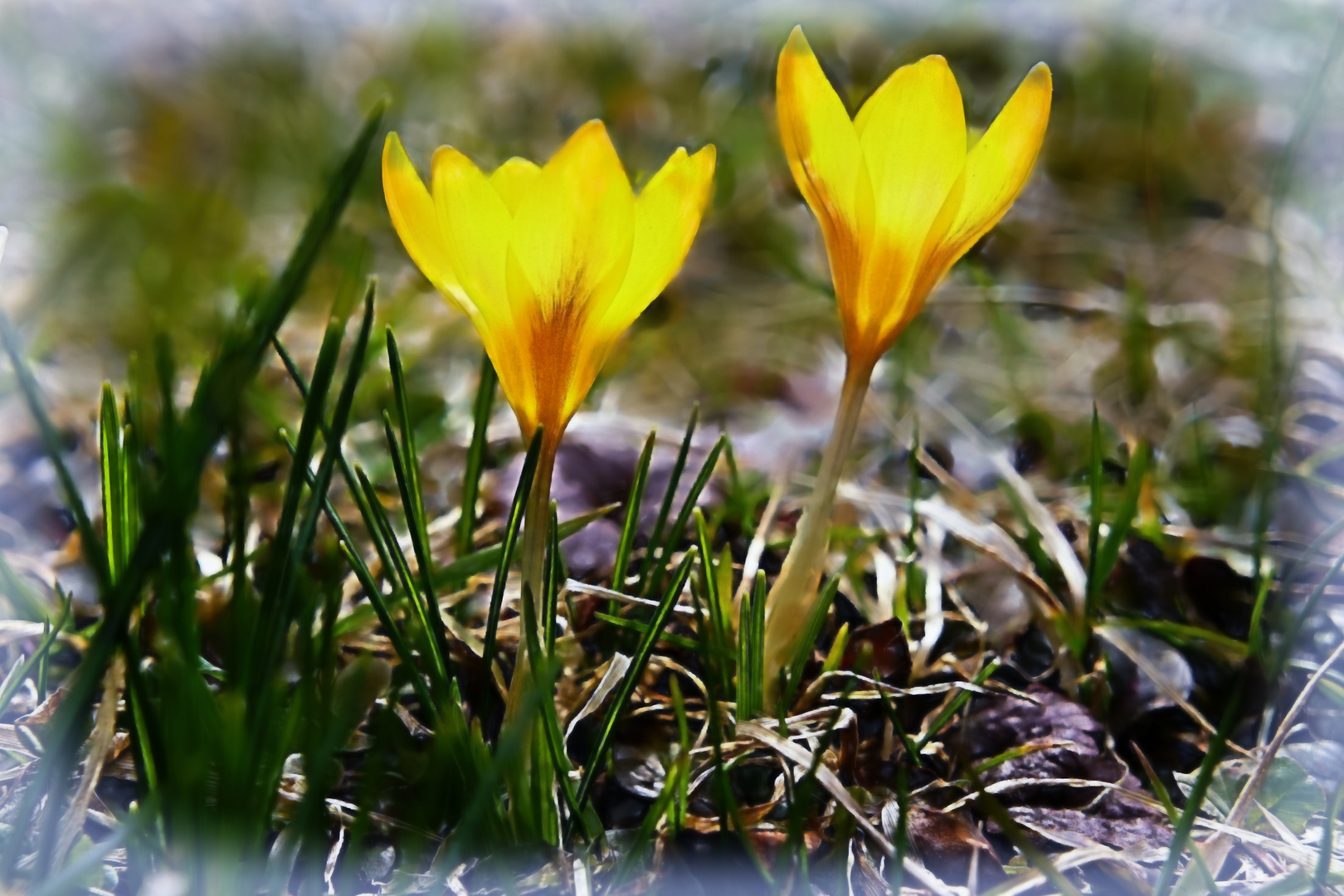 Endlich Frühling