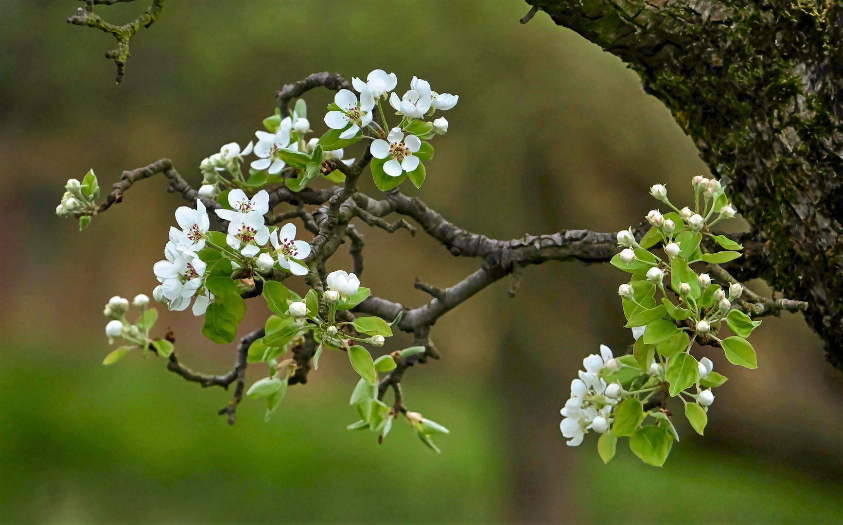 Endlich Frühling