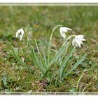 Endlich Frühling!