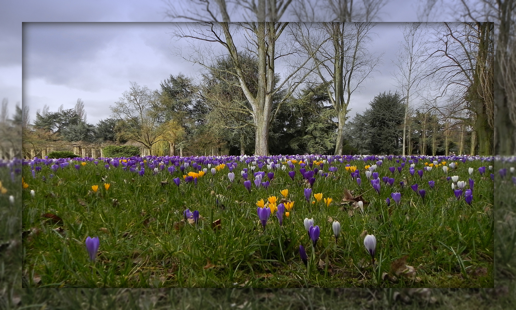 Endlich Frühling ?