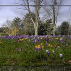 Endlich Frühling ?