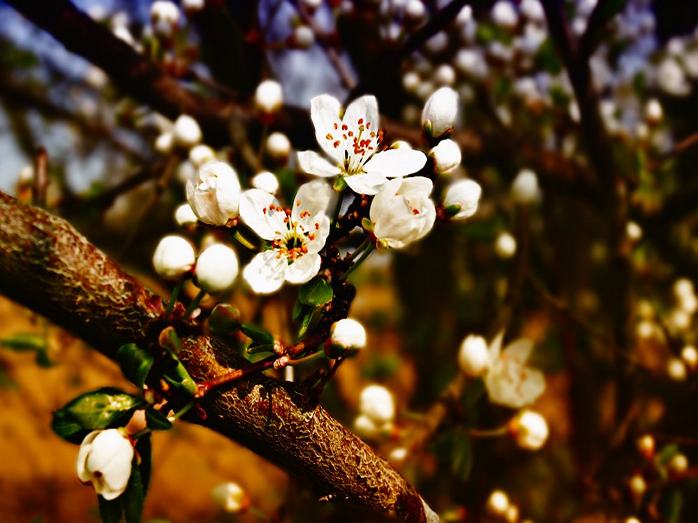 Endlich Frühling