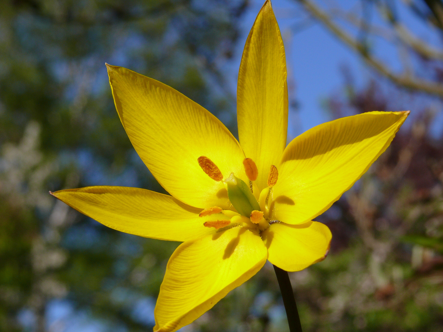 endlich Frühling