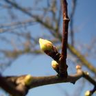 Endlich Frühling