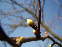 Endlich Frühling