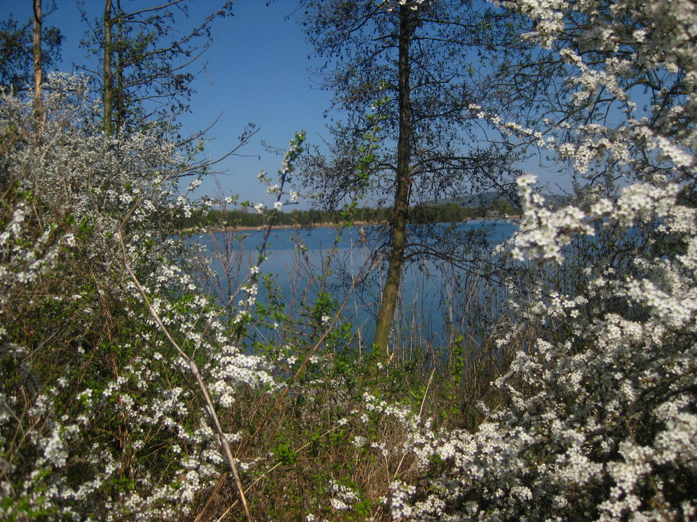 endlich Frühling