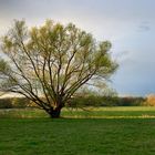 Endlich Frühling! 