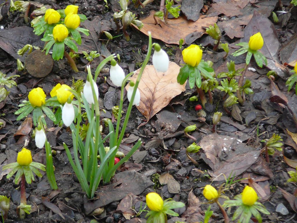 Endlich frühling