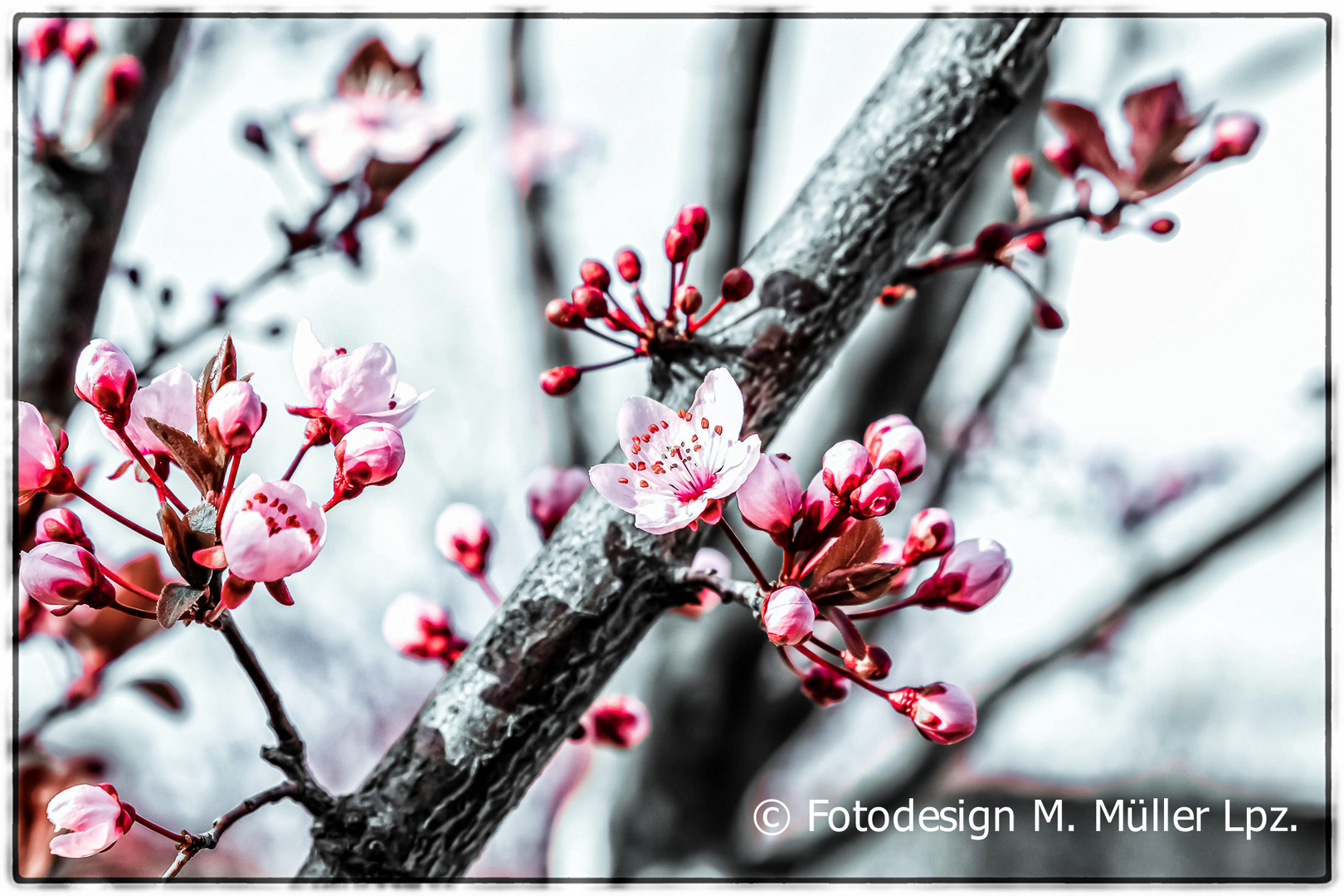 endlich Frühling ?!