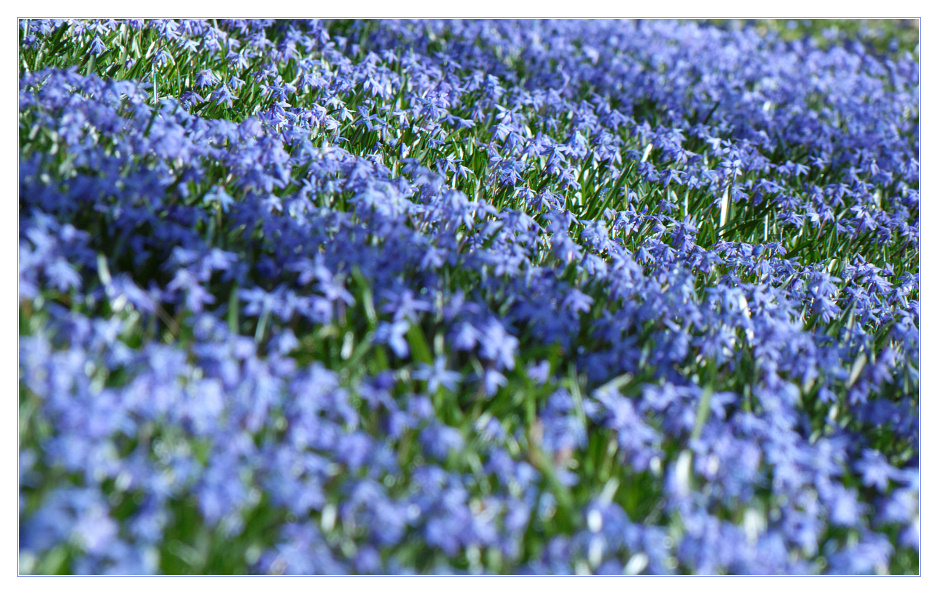 Endlich Frühling