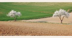 Endlich Frühling