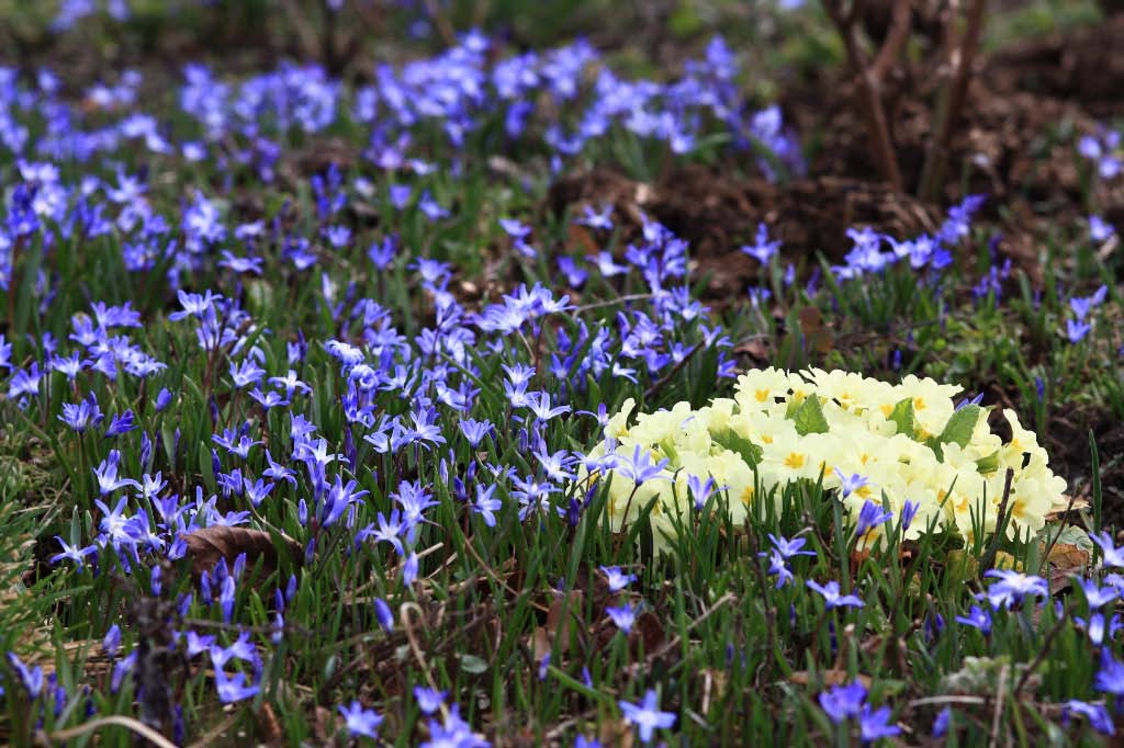 Endlich Frühling!