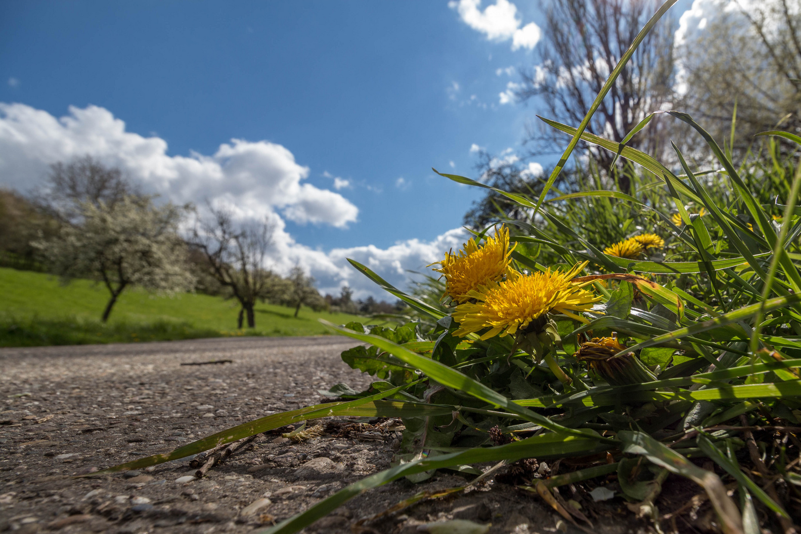 Endlich Frühling?