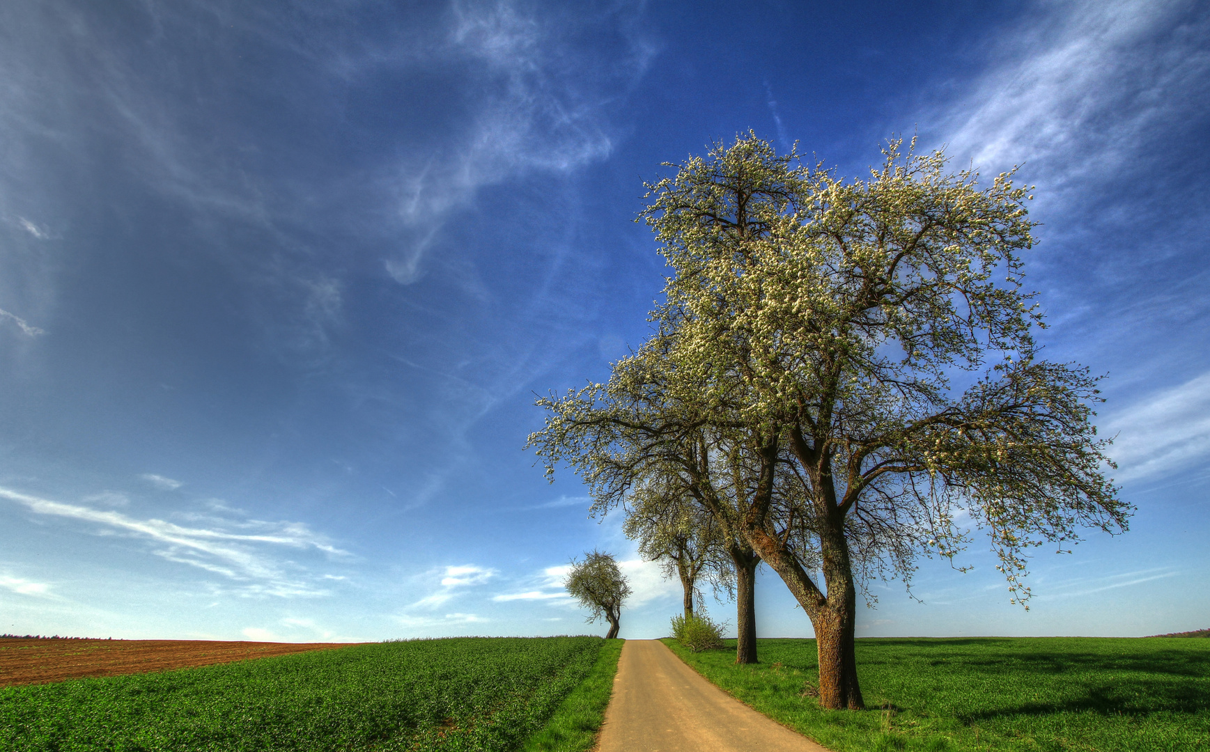 Endlich Frühling