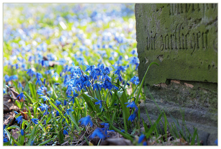 Endlich Frühling