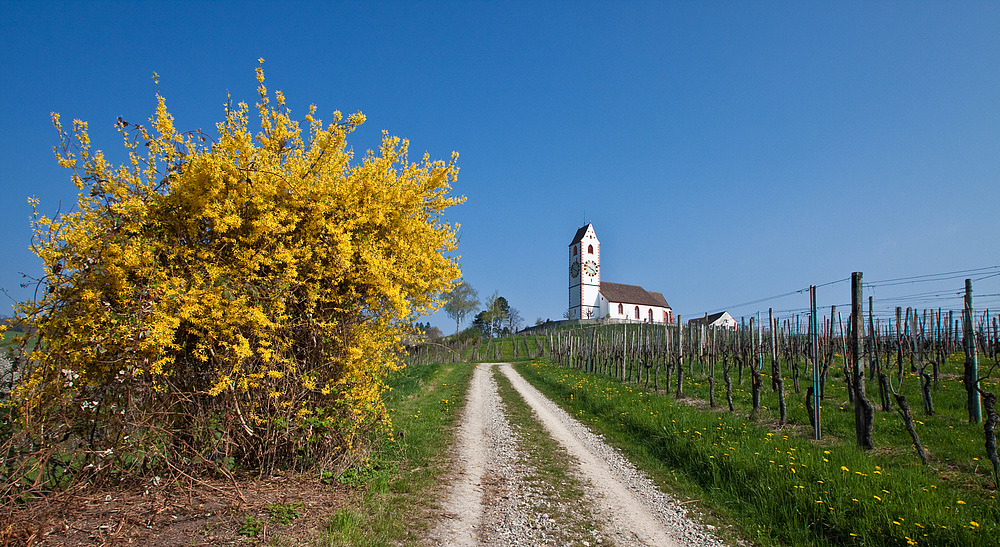 Endlich Frühling